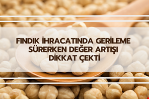 FINDIK İHRACATINDA GERİLEME SÜRERKEN DEĞER ARTIŞI DİKKAT ÇEKTİ